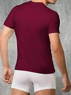 Мужская бордовая классическая облегающая футболка Doreanse For Everyday 2550c60